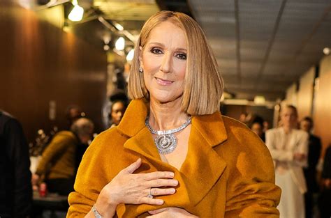 hold me.so.you can't let go celine dion|Celine Dion in tears over Kelly Clarkson's cover of 'My Heart Will .